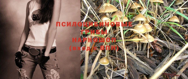 дурь Абдулино