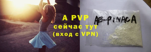 шишки Абаза