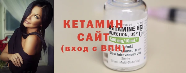 шишки Абаза