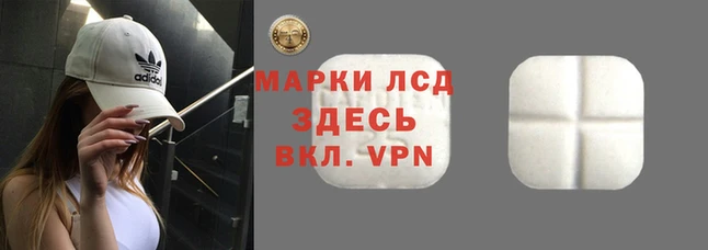 шишки Абаза