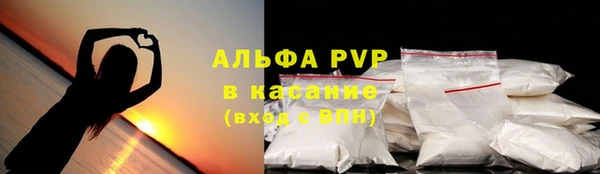 шишки Абаза