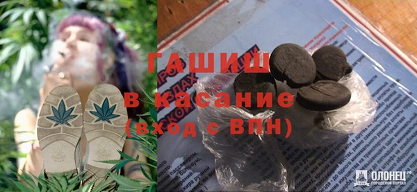 шишки Абаза