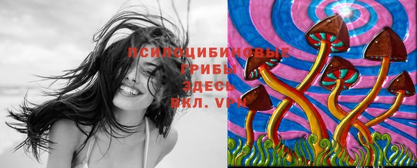 спиды Абинск
