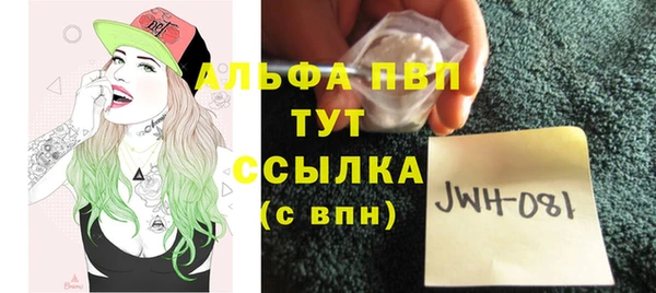 индика Приозерск