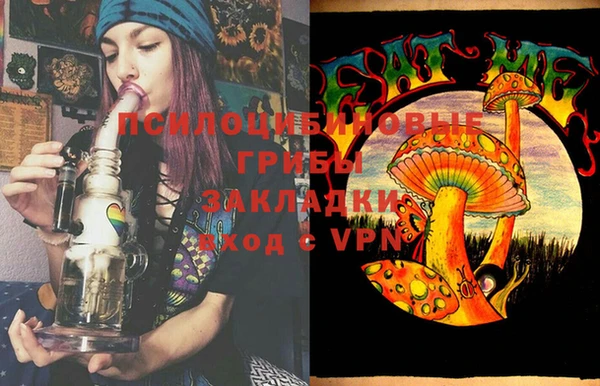 шишки Абаза