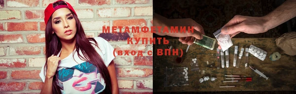 шишки Абаза