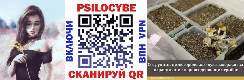 Галлюциногенные грибы мухоморы  Касимов 